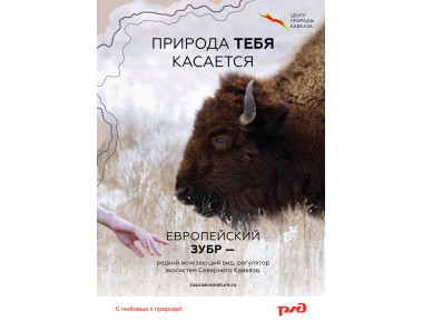 ОАО «РЖД» и АНО «Центр природы Кавказа» запустили совместную информационную кампанию